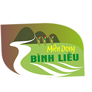 Công ty cổ phần thương mại và dịch vụ Bình Liêu