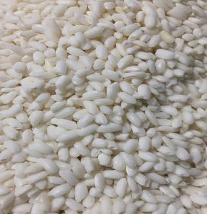Gạo nếp cái  Hoa Vàng