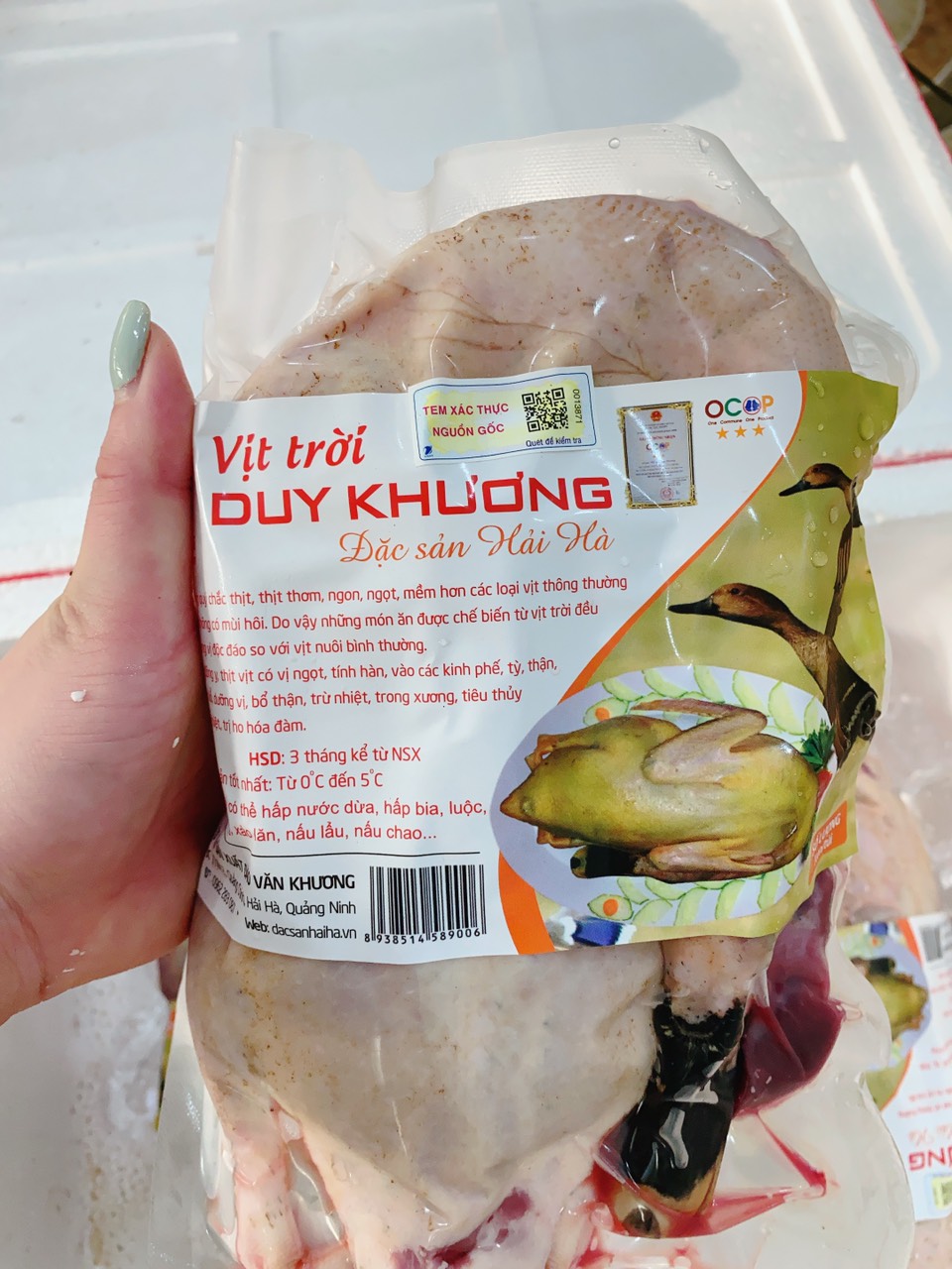 Vịt trời