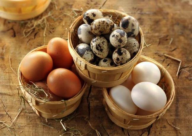 trứng các loại