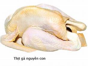 Thịt gia cầm