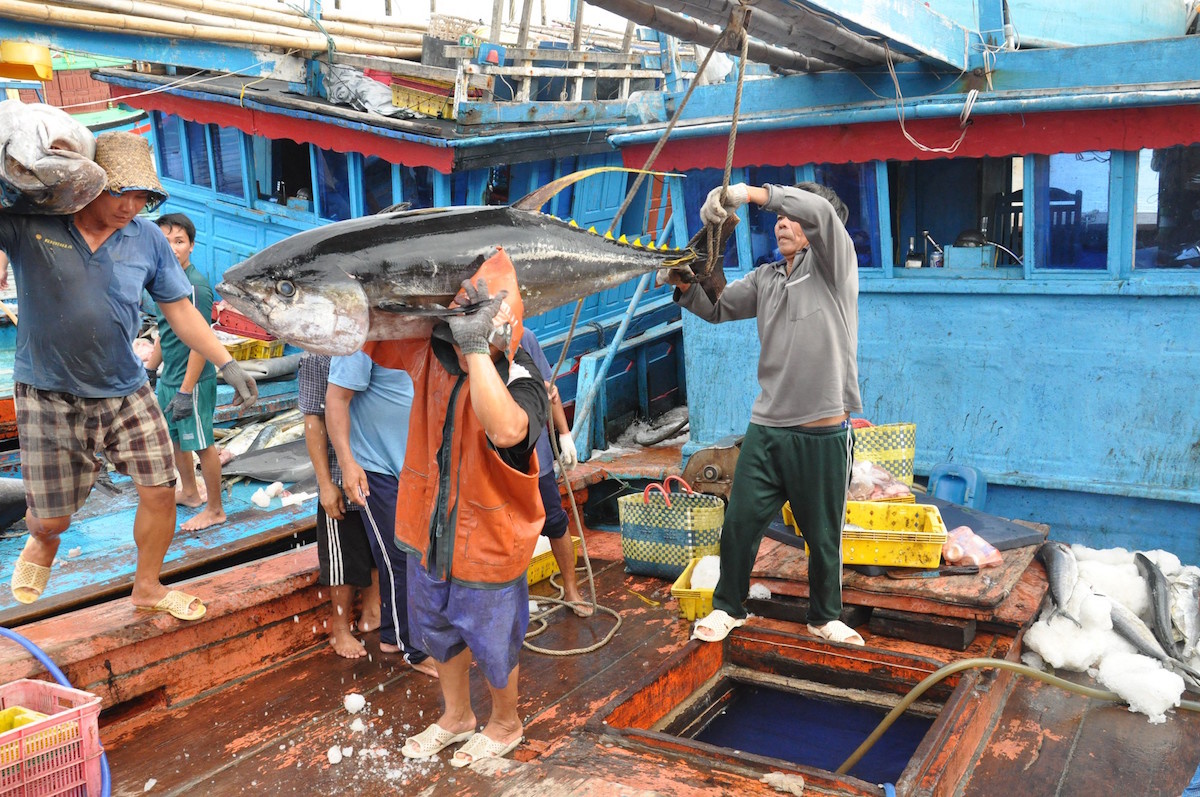 Khai thác Thủy sản