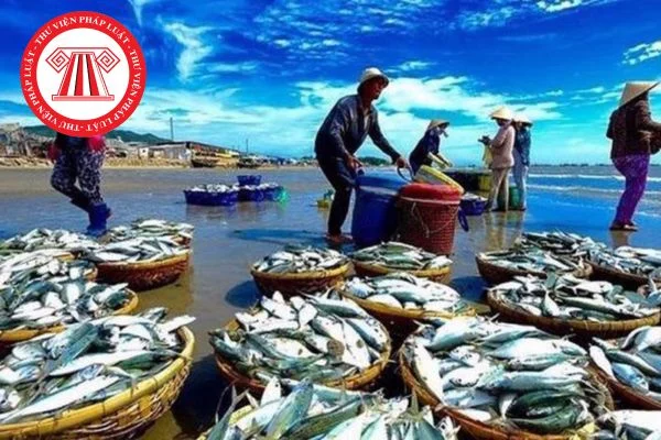 khai thác thủy sản
