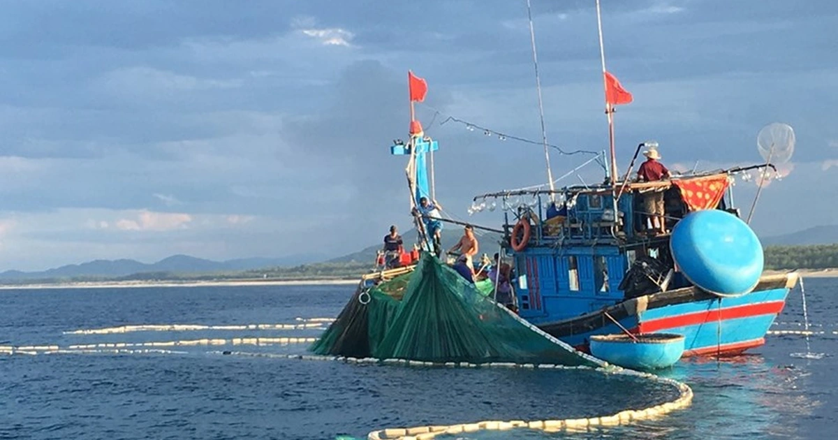 Khai thác Thủy sản
