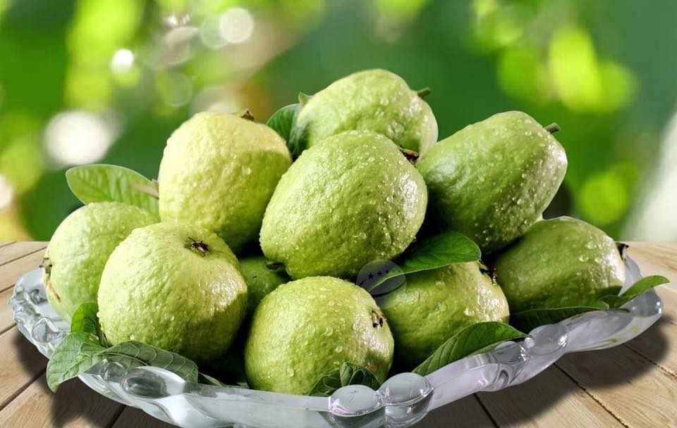 Ổi  Ông Đới