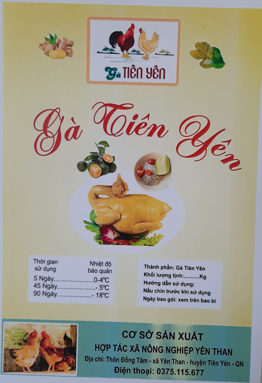 Gà Tiên Yên