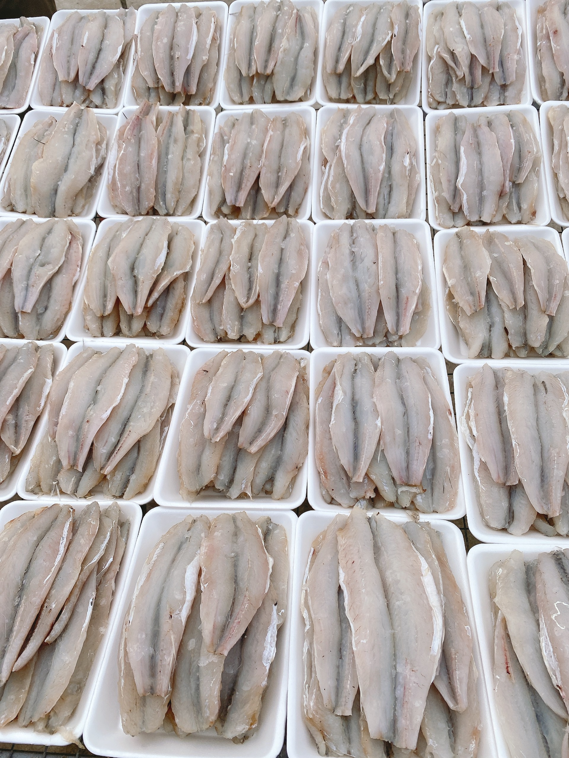 cá mối 1 nắng