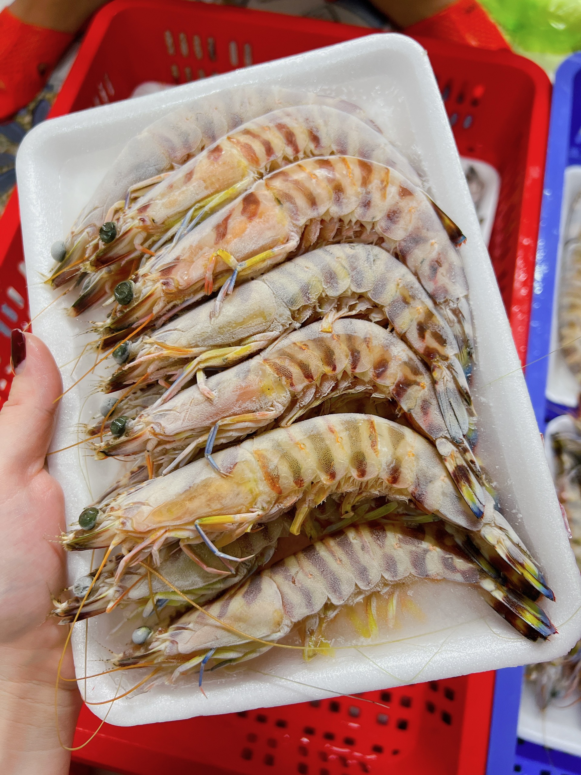 tôm cấp đông