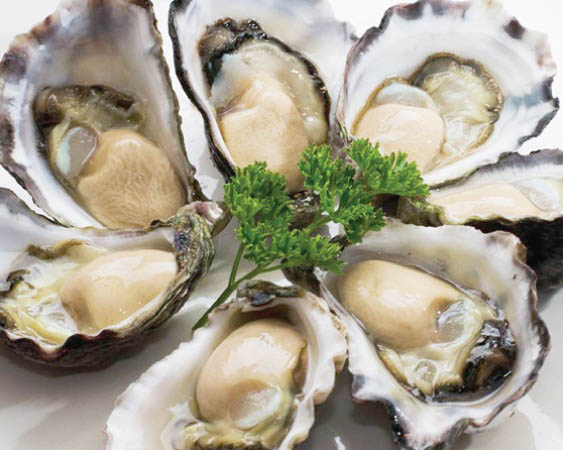 Hàu sữa Thái Bình Dương