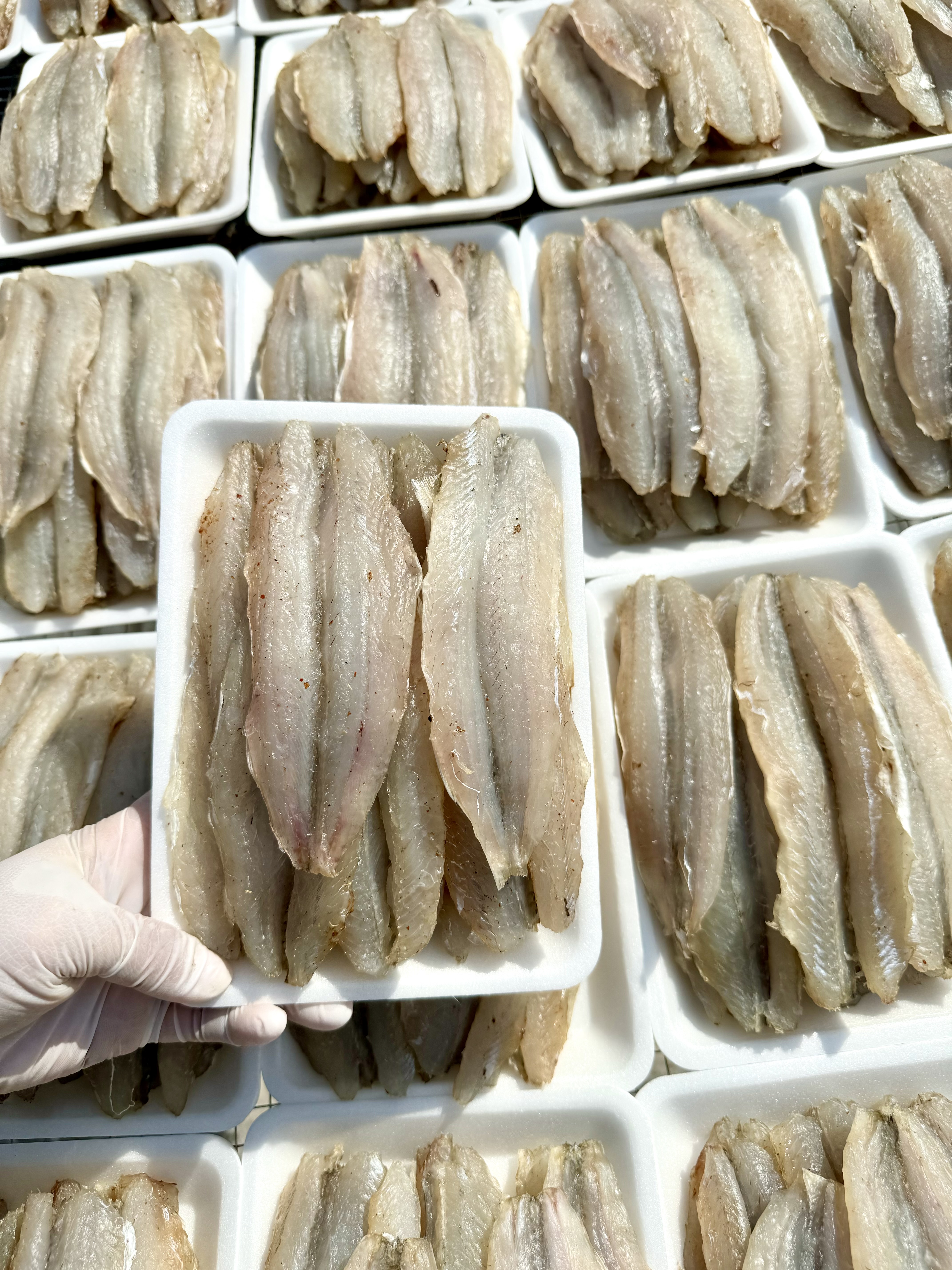 Cá mối 1 nắng 