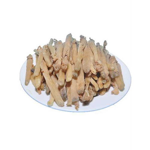 Sá sùng khô