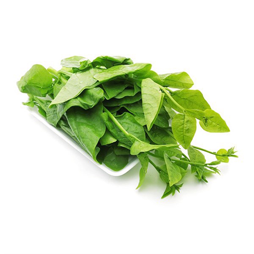 Rau mồng tơi